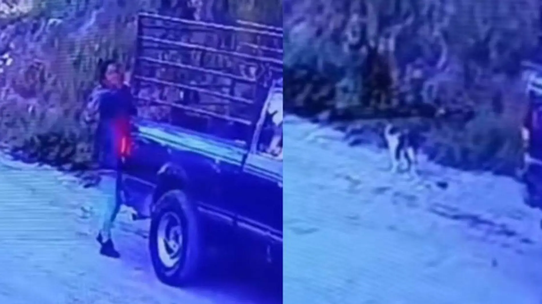 Un acto de crueldad animal quedó registrado en video, generando indignación y tristeza